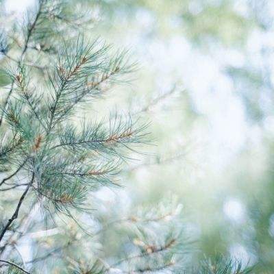 焦煤，盘中异动！市场传来利多？