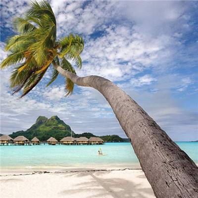 安博体育app下载