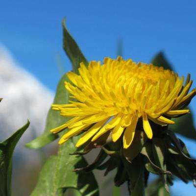 俄罗斯官员：不计划对中国赴俄人员采取额外防疫措施