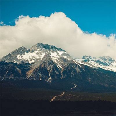 加拿大PC在线预测