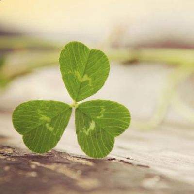 半岛综合娱乐app手机app下载