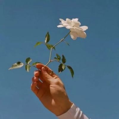 澳门沙金官方网站在线