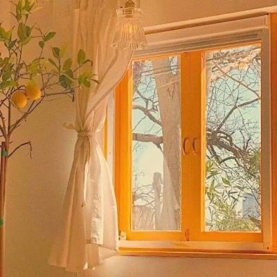 蒋介石“下野”后，为何还在为转移黄金费尽心机？