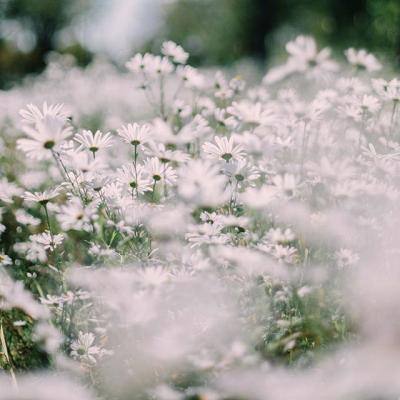 西游降魔篇动作版