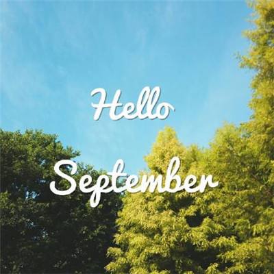 菠菜论坛白菜交流