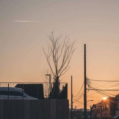 茅台已斥资53亿元回购345万股