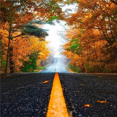 c7加拿大官方网站