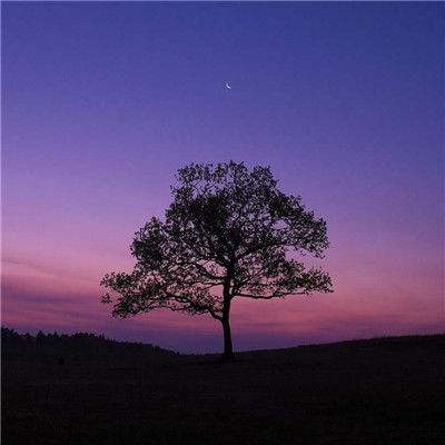 万博manbext体育截图4