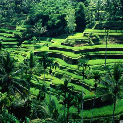 发掘中国诗歌之美：《中国名诗三百首》出版