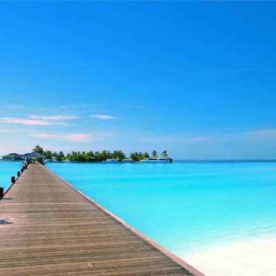 中国官方：在基孔肯雅热疫情防控中发挥中医药作用