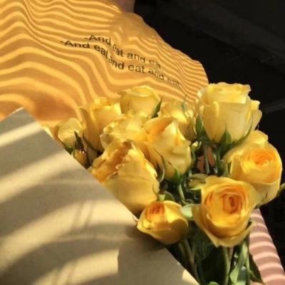 10博客户端下载截图