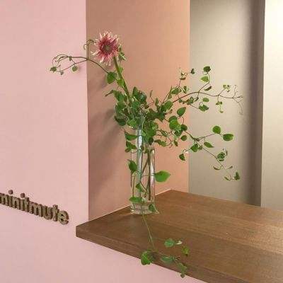 2025 长三角（昆山）具身智能产业发展暨开发者大会：共绘产业新蓝图