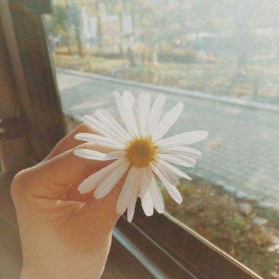 收评：港股恒指涨0.92% 科指涨1.55% 科网股、黄金股普涨 半导体板块走强 英诺赛科涨超30%