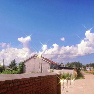 贵州贵定：“花样”翻新撬动“春日经济”