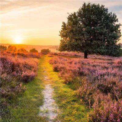 抖音旗下公司成立江西纸间跃迁科技有限公司 涵盖电视剧制作业务