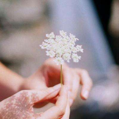 英伟达被约谈再次说明，霸权逼我们必须成为“六边形战士”