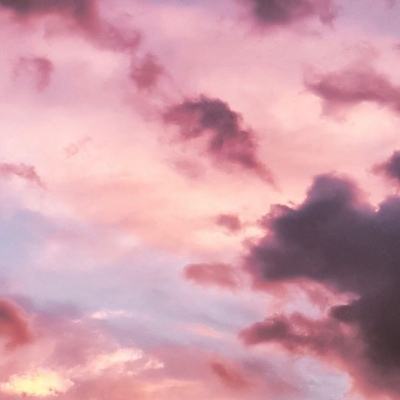 买球的网站大全