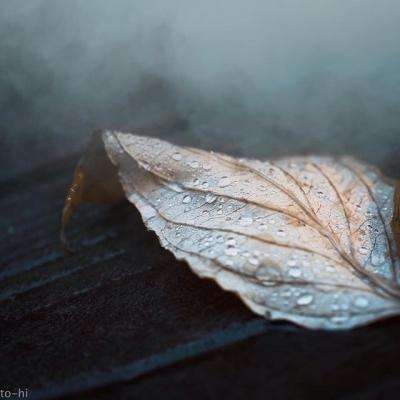 爱游戏官方网站官网