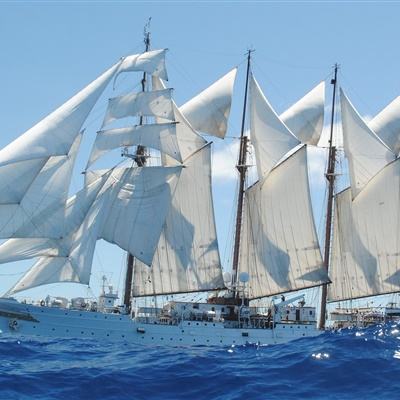 第十五届全国思想政治教育高端论坛举行