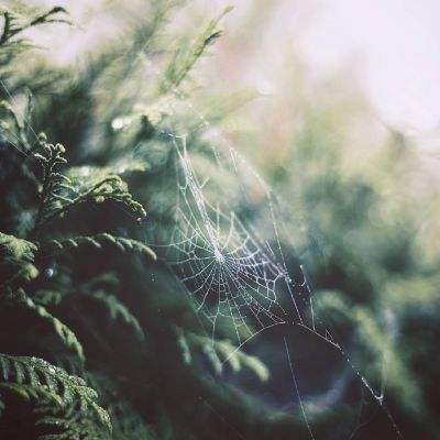 江苏南京：对35名处级以上领导干部开展警示教育