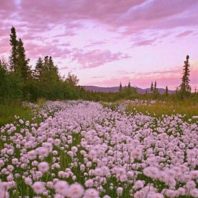 探秘“华龙一号”：更自主 更经济 更安全