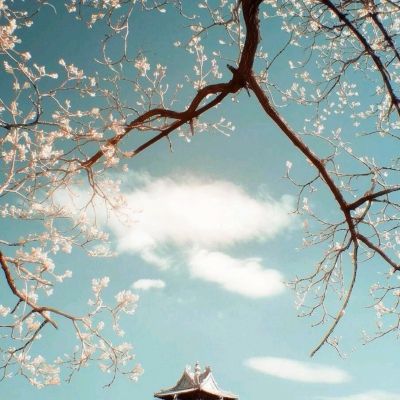 深新早点｜紧急提醒！深圳莲花山公园、西涌等地传播风险高