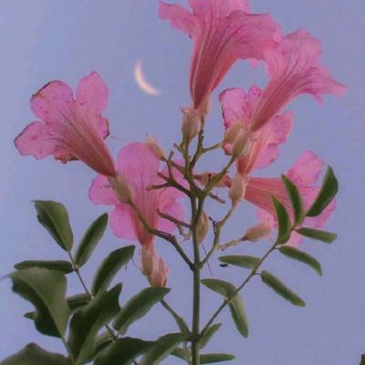 贵州茅台再出重磅纪念款酒，1954年5月1日到2024年4月30日，每日仅对应一瓶