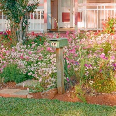 商务部：延长对进口牛肉保障措施调查期限至2025年11月26日