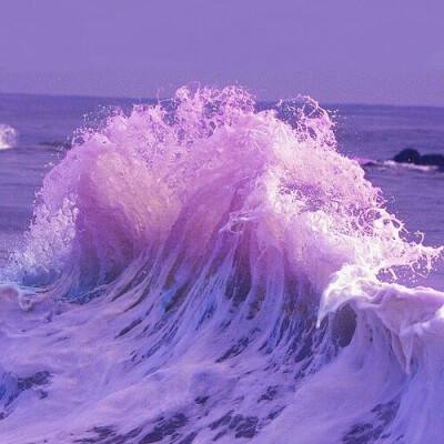 2025FE电动方程式上海站完赛