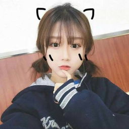 京东币链正进行稳定币牌照申请准备