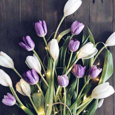 菠菜论坛白菜交流截图