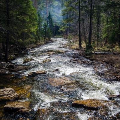 菠菜论坛白菜交流