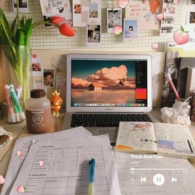 美联储戴利：每场会议都可能降息 不排除年内多于两次