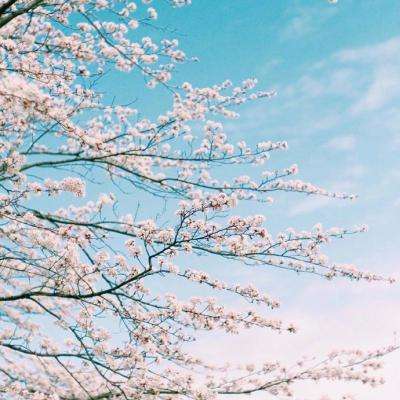 哈利波特之霍格沃茨之谜