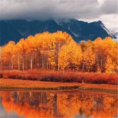 成都世运会今日开幕一图了解和奥运不一样的精彩