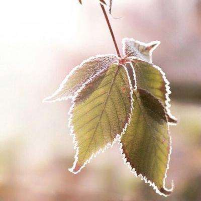 关于社保，网友们又发现了这些细节