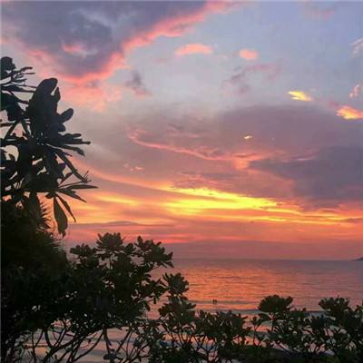 河北唐山港今年上半年货物吞吐量稳中有升（5）