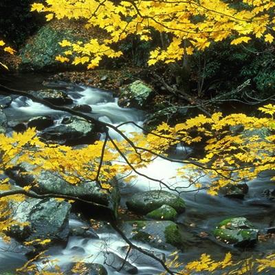 波音员工罢工会否影响美六代机研制