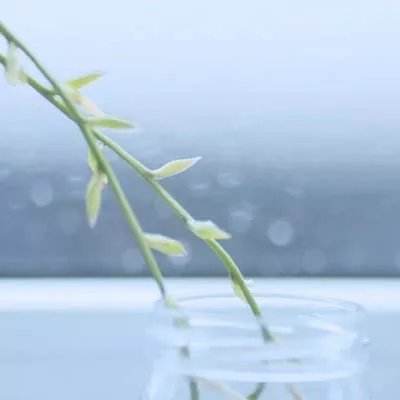 355娱乐官网app下载苹果版v2截图2