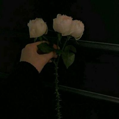 我的世界中文版