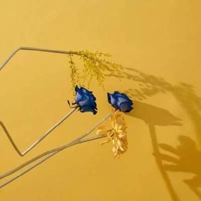 kaiyun体育全站手机app下载