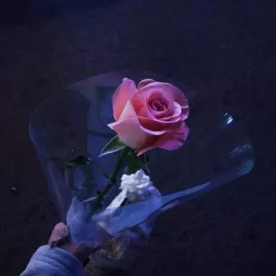 很抱歉，要搬家了，这里是新的地址