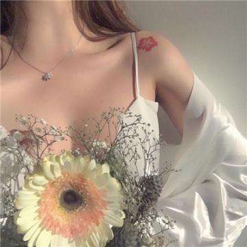 金沙集团1862成色安装正版最新版v7.6.1.5截图0